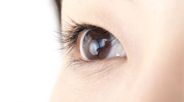 眼疾患の早期発見を<br>目的とした眼科ドック